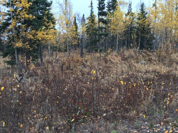 63885 Tailwind Rd, Ninilchik, AK 99639